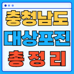 충청남도대상포진총정리